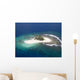 Ile Deserte Wall Decal