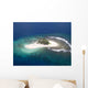 Ile Deserte Wall Decal