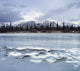 Ice On The North Saskatchewan River Wall Mural