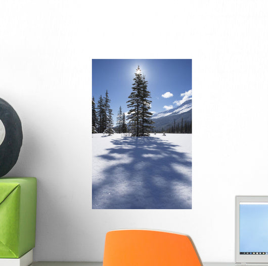 Rampart Flats In Winter, Banff National Park, Alberta Wall Mural