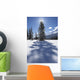 Rampart Flats In Winter, Banff National Park, Alberta Wall Mural