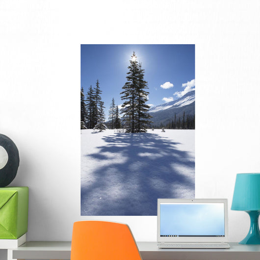 Rampart Flats In Winter, Banff National Park, Alberta Wall Mural