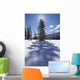 Rampart Flats In Winter, Banff National Park, Alberta Wall Mural
