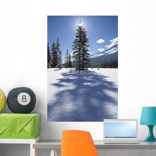 Rampart Flats In Winter, Banff National Park, Alberta Wall Mural