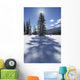 Rampart Flats In Winter, Banff National Park, Alberta Wall Mural
