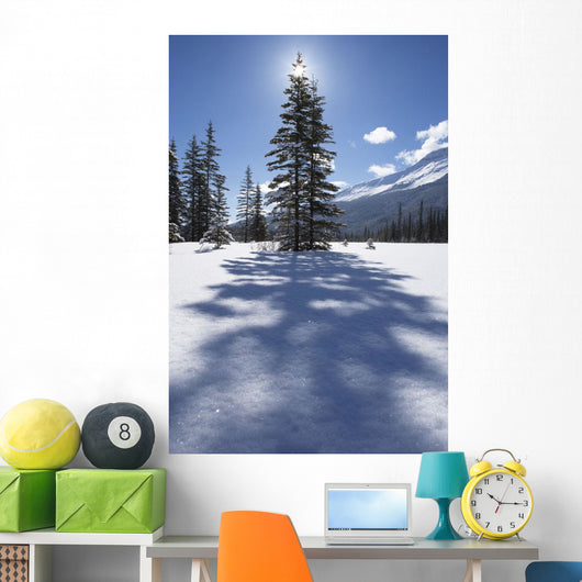 Rampart Flats In Winter, Banff National Park, Alberta Wall Mural