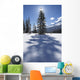 Rampart Flats In Winter, Banff National Park, Alberta Wall Mural