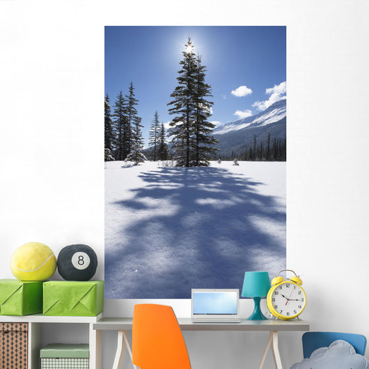 Rampart Flats In Winter, Banff National Park, Alberta Wall Mural