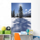 Rampart Flats In Winter, Banff National Park, Alberta Wall Mural