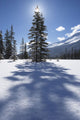 Rampart Flats In Winter, Banff National Park, Alberta Wall Mural