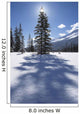 Rampart Flats In Winter, Banff National Park, Alberta Wall Mural