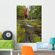 Balmoral Grist Mill In Balmoral Mills, Nova Scotia Wall Mural