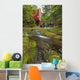 Balmoral Grist Mill In Balmoral Mills, Nova Scotia Wall Mural