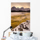Athabasca River And Mt Fryatt, Jasper National Park, Alberta Wall Mural