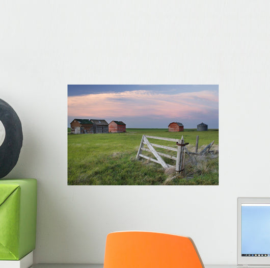 Old Abandoned Farm Near Leader, Saskatchewan Wall Mural