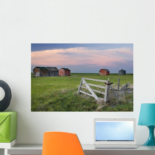 Old Abandoned Farm Near Leader, Saskatchewan Wall Mural
