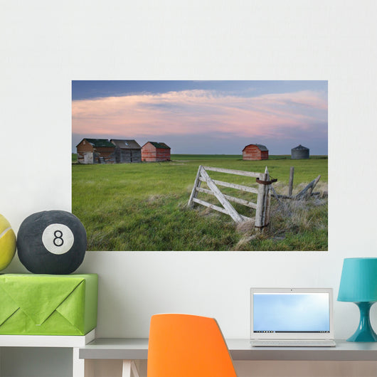 Old Abandoned Farm Near Leader, Saskatchewan Wall Mural