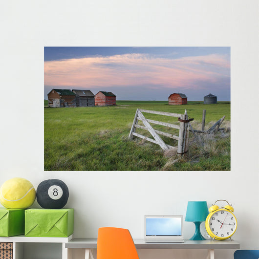 Old Abandoned Farm Near Leader, Saskatchewan Wall Mural