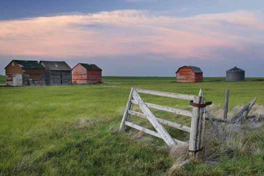 Old Abandoned Farm Near Leader, Saskatchewan Wall Mural