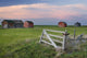 Old Abandoned Farm Near Leader, Saskatchewan Wall Mural