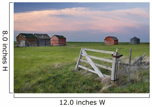 Old Abandoned Farm Near Leader, Saskatchewan Wall Mural