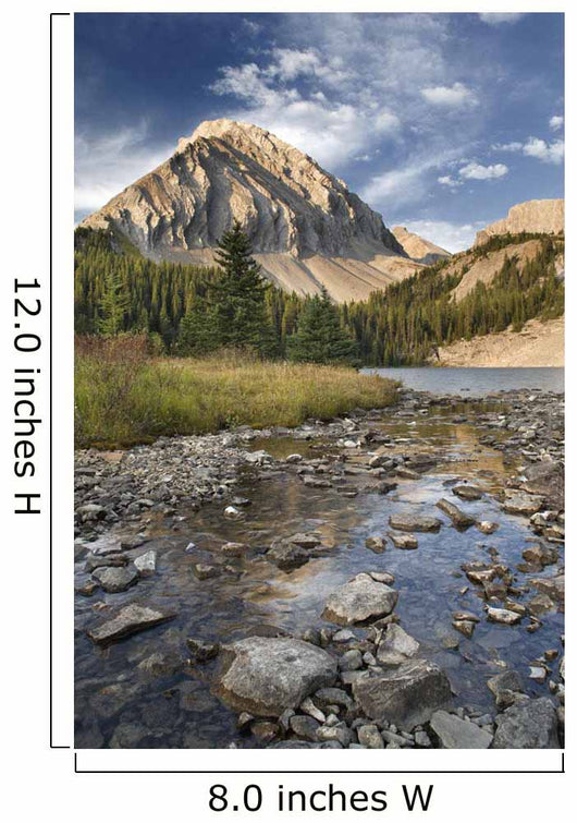 Alberta Wall Mural