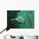 Catfish Wall Mural