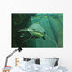 Catfish Wall Mural