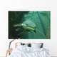 Catfish Wall Mural