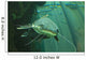 Catfish Wall Mural
