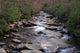 Great Smoky Mountains National Wall Decal