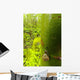 Snail, Pointe-Des-Cascades, Quebec, Canada Wall Mural