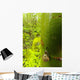 Snail, Pointe-Des-Cascades, Quebec, Canada Wall Mural