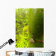 Snail, Pointe-Des-Cascades, Quebec, Canada Wall Mural