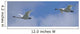 Swans Flying In Formation, Yukon Wall Mural