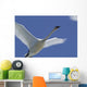 Swan In Flight, Long Exposure Wall Mural