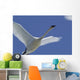 Swan In Flight, Long Exposure Wall Mural