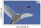 Swan In Flight, Long Exposure Wall Mural