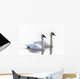Swans Bathed In Light Swimming Together, Yukon Wall Mural