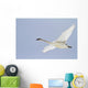 Swan In Flight, Yukon Wall Mural