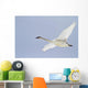 Swan In Flight, Yukon Wall Mural