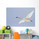 Swan In Flight, Yukon Wall Mural