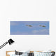 Swans In Flight, Yukon Wall Mural