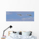 Swans In Flight, Yukon Wall Mural