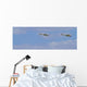 Swans In Flight, Yukon Wall Mural