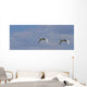 Swans In Flight, Yukon Wall Mural