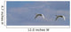 Swans In Flight, Yukon Wall Mural