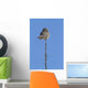 Northern Boreal Owl Wall Mural