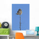 Northern Boreal Owl Wall Mural