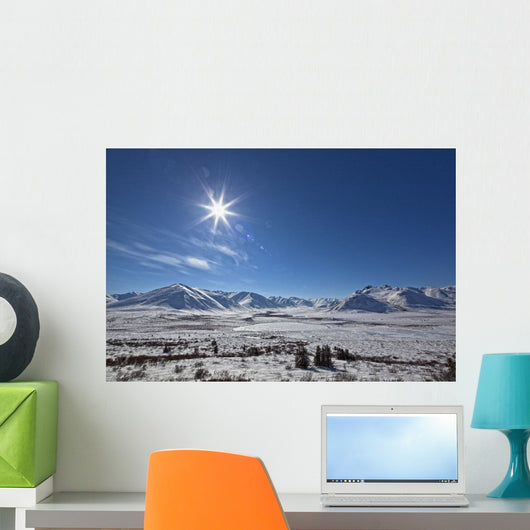 Afternoon Sun Along The Dempster Highway, Yukon Wall Mural